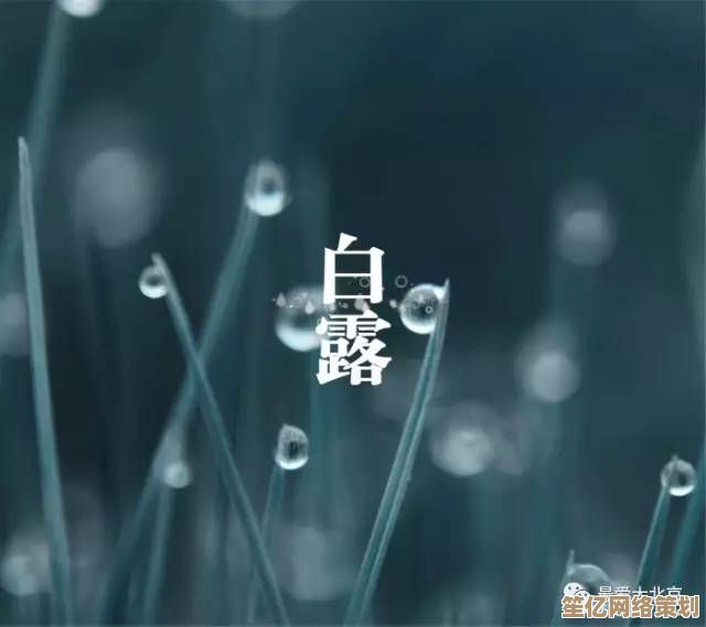 秋分不寻常！2025冷空气提前来袭，三九天气恶化冬雪频次预测