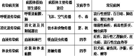 正确使用双引号的秘诀：详细步骤与常见错误避免方案