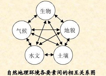 探索洪潮之焰2025陷阱机制：如何巧妙利用环境制胜