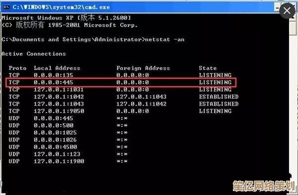 入手Windows 11正版前必读：价格、渠道与选购技巧详解