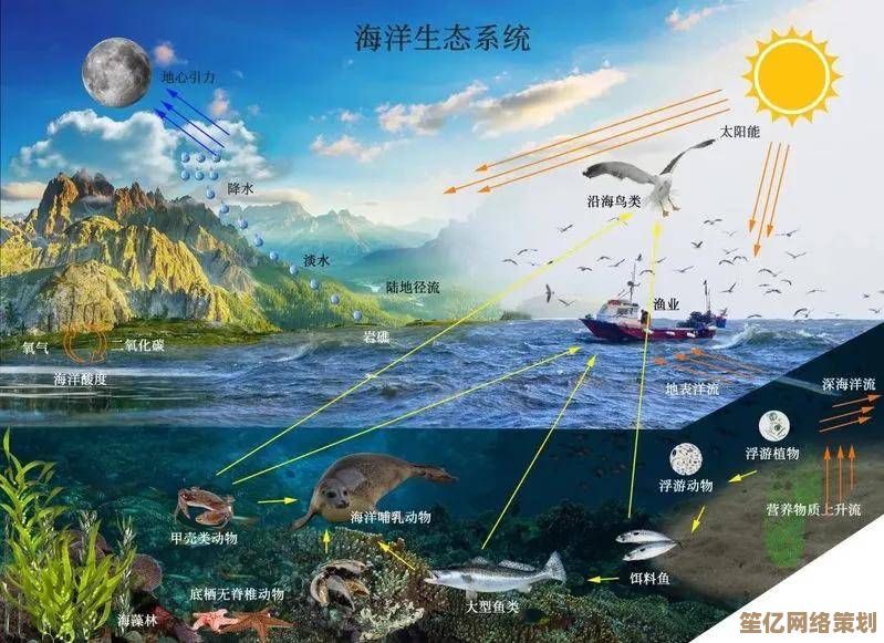 全新海洋生态模拟！英勇之地阳光海域2025真实气候航行挑战！