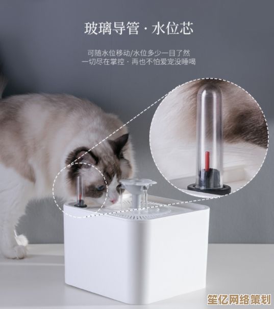 盘点2025年必备的猫咪软件，经典实用工具让爱宠生活更智能
