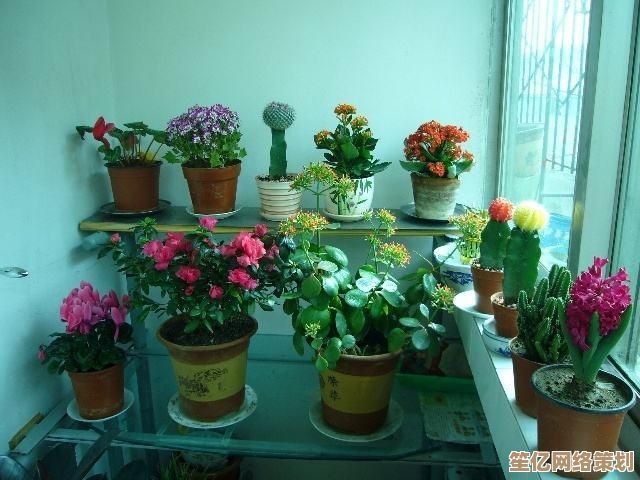 实现电脑自动定时关机：智慧节能减少浪费，自动化管理提升效率