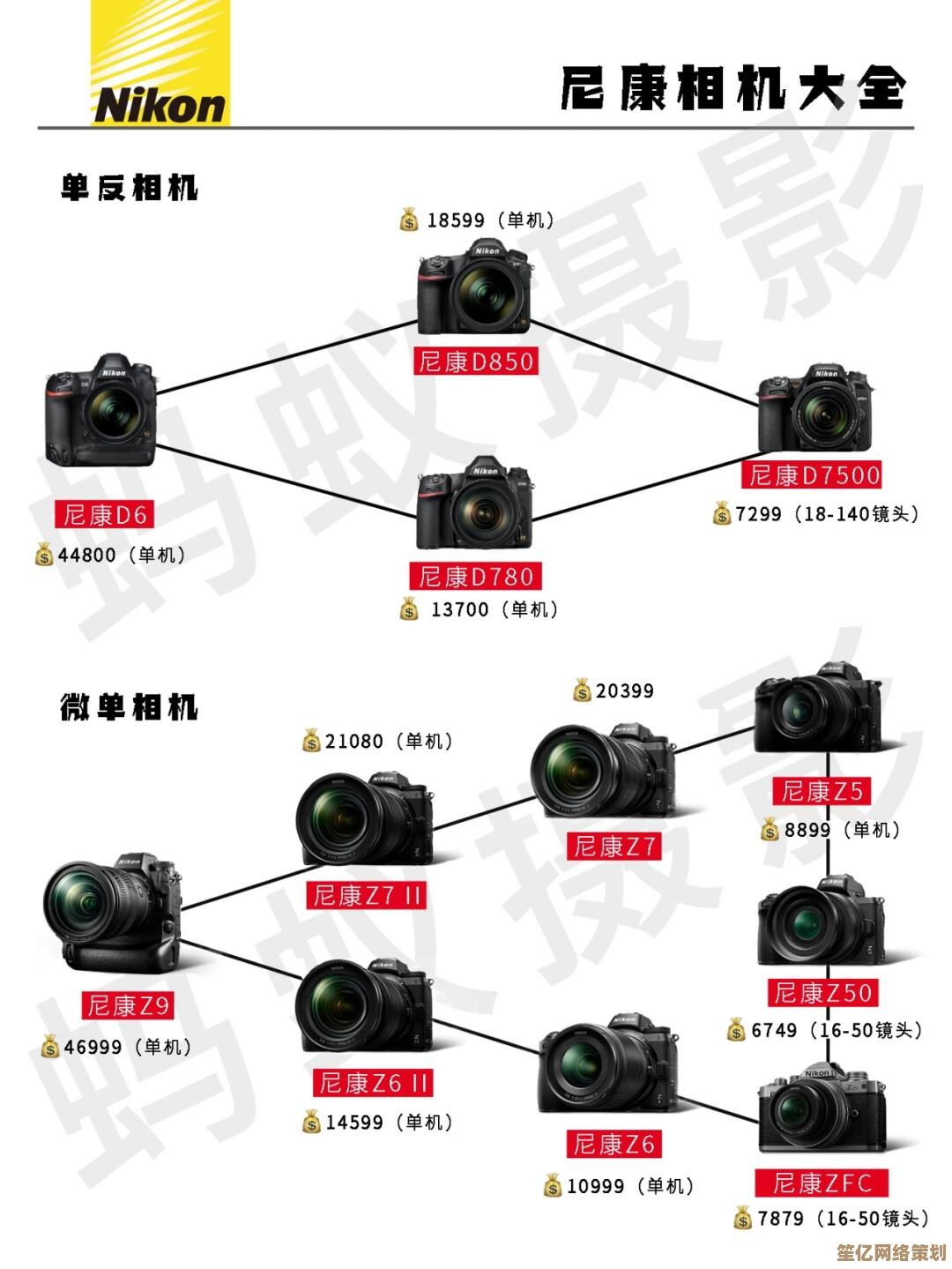尼康相机档次全解析：通过天梯图找到最适合你的高清拍摄装备