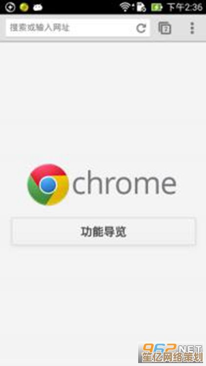谷歌浏览器官方下载，畅享高速安全的上网体验