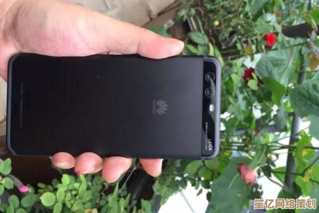徕卡相机天梯图：穿越光影的巅峰旅程，解锁摄影艺术新境界
