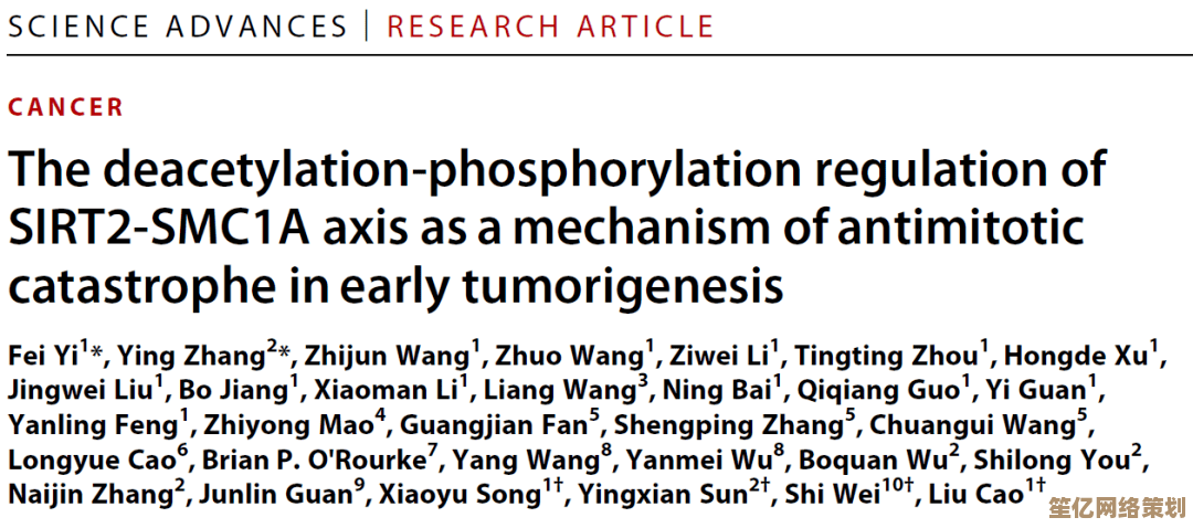独奏骑士2025不死刮痧流终极攻略：从入门到精通全解析