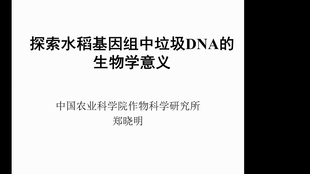 探索密码在现代社会中的多重意义与功能