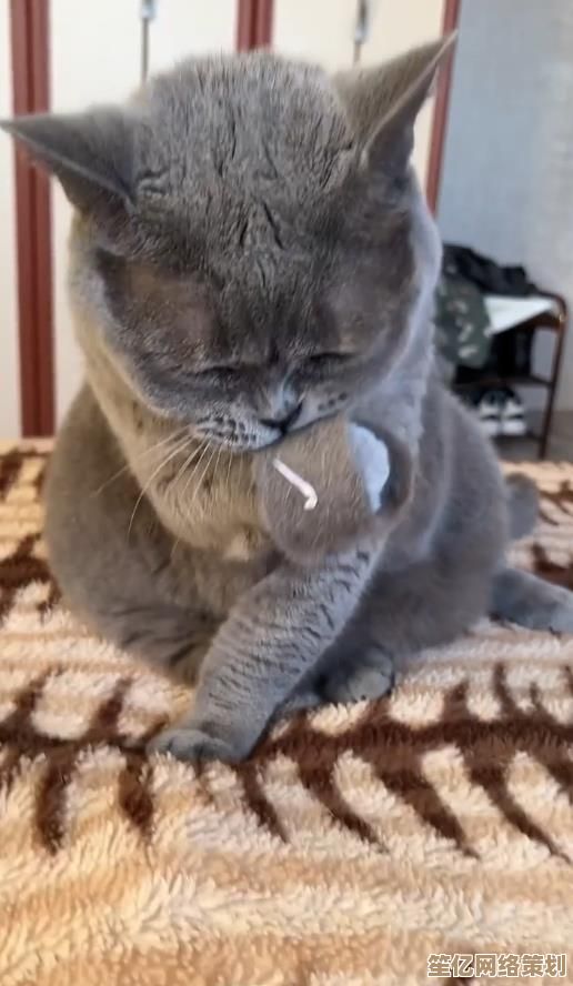 走进《肥喵农场》次世代农场，体验融合元宇宙科技的猫咪管理与收集新玩法！