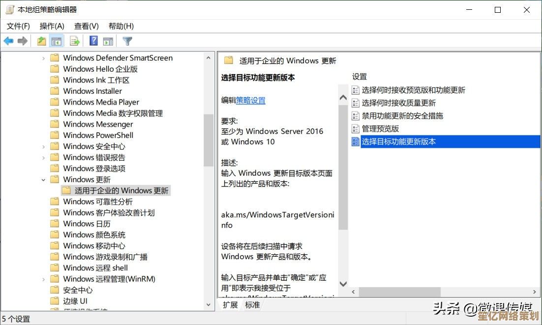 升级Windows 11后不满意？详细教程教你退回熟悉的Windows 10环境