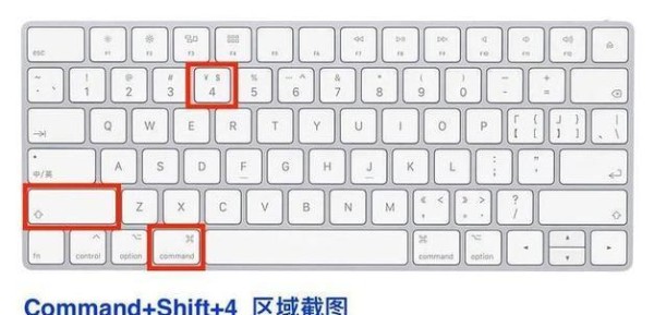 高效电脑截屏教程：一步步教你如何快速捕捉屏幕内容