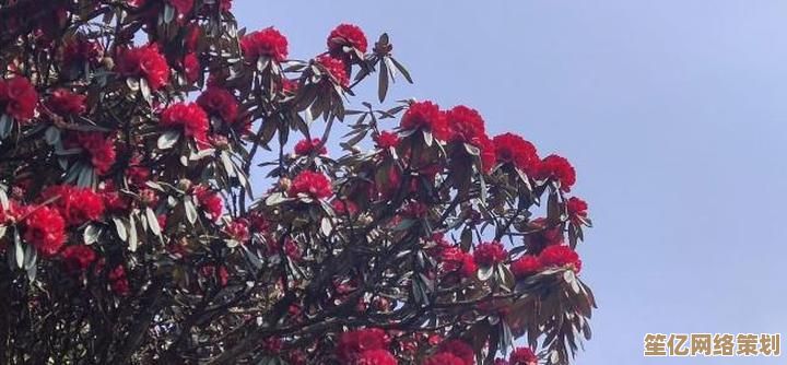 2025年植物大战僵尸第54关最新通关攻略，教你轻松击败未来僵尸军团！