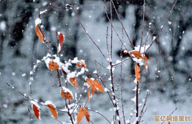 今秋分不同往年！2025冷得离奇，老话暗指三九暴雪成灾风险