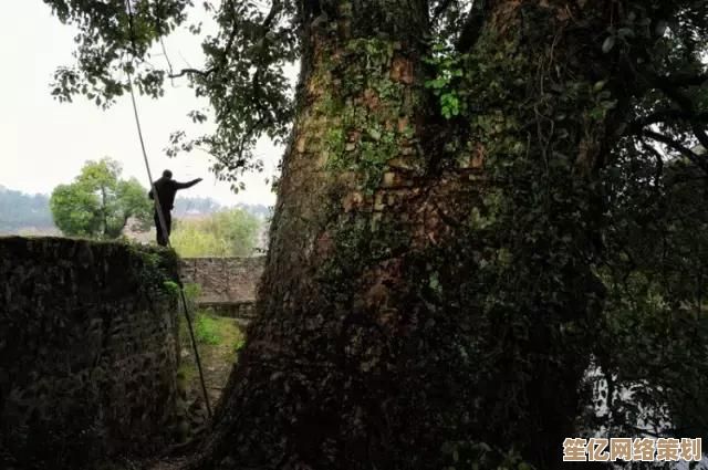 未来自然守护者：通过全息投影解码比比安古树生态奥秘