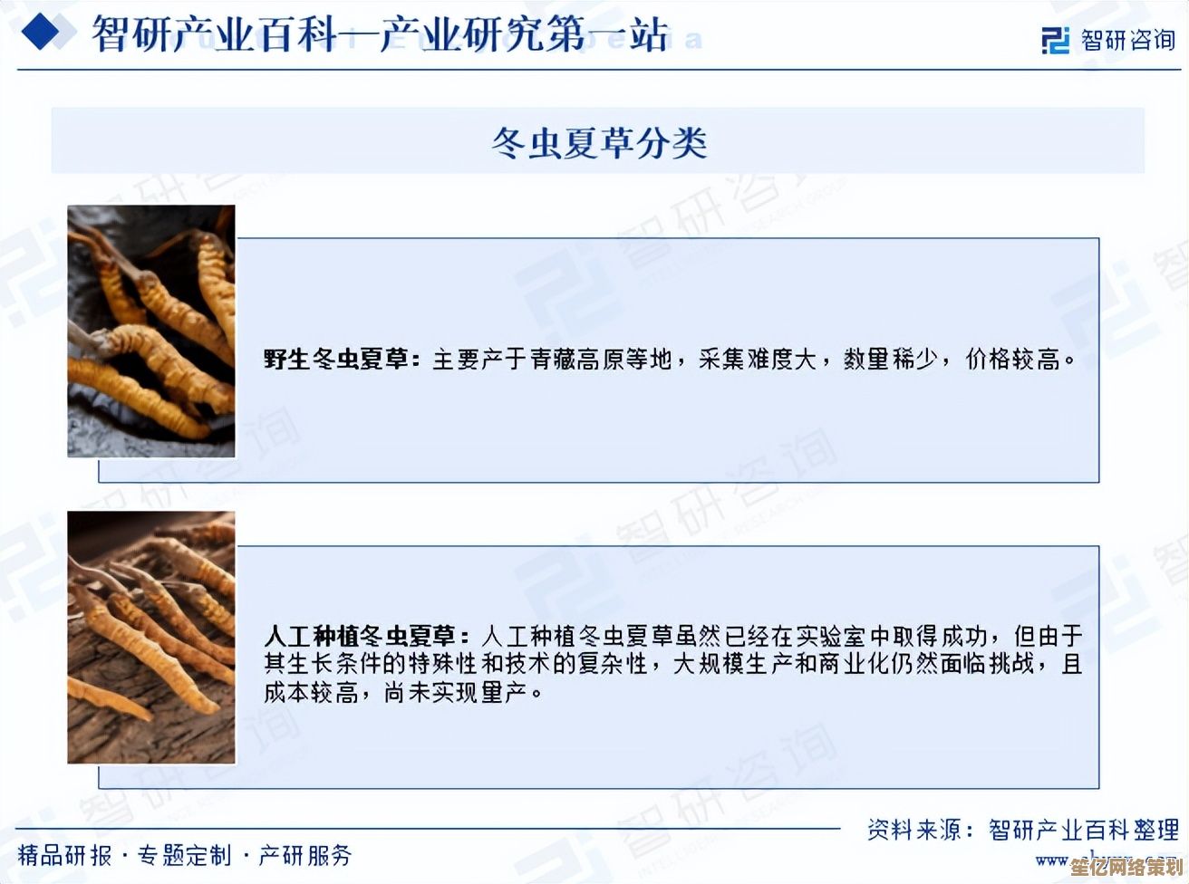 幻塔虫草2025年产地变迁分析：分布热点与资源保护策略