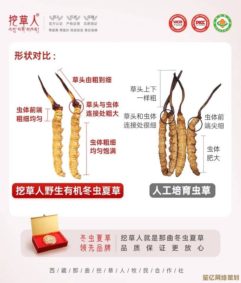幻塔虫草2025年产地变迁分析：分布热点与资源保护策略