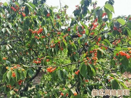 尽情畅享游戏乐趣，探索每一刻的惊喜与挑战！