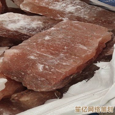 最新研究揭示：这些动物竟靠舔食盐砖补充关键矿物质