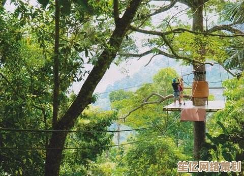 雨林木风：沉浸于自然怀抱，体验身心放松的美好时刻