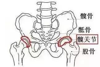 专业训练方法：显著增强髋部力量与灵活性