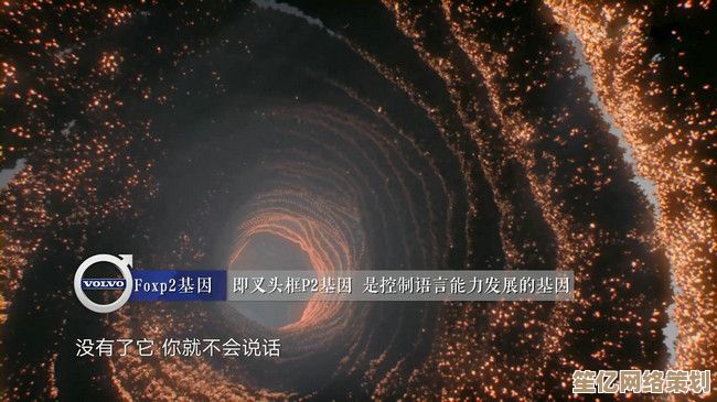 电子视界：屏幕窗口背后的无限科技宇宙探索之旅