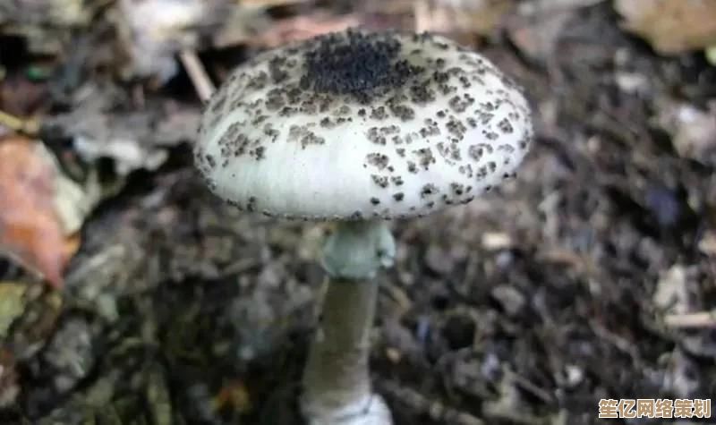 探索创造与魔法：精灵鱼蘑菇汤的未来烹饪科技与神秘配方