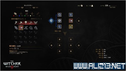 巫师3年度游戏版2025年炼金与符文系统进阶指南
