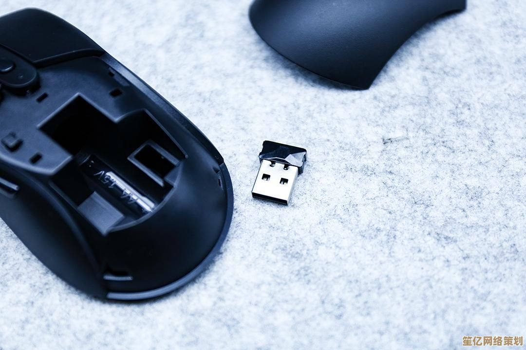 当电脑鼠标失去响应时应采取的有效处理方法与技巧