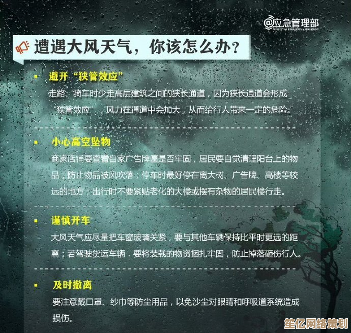 寻仙2025绑定金高效使用指南：最大化利用技巧全解析