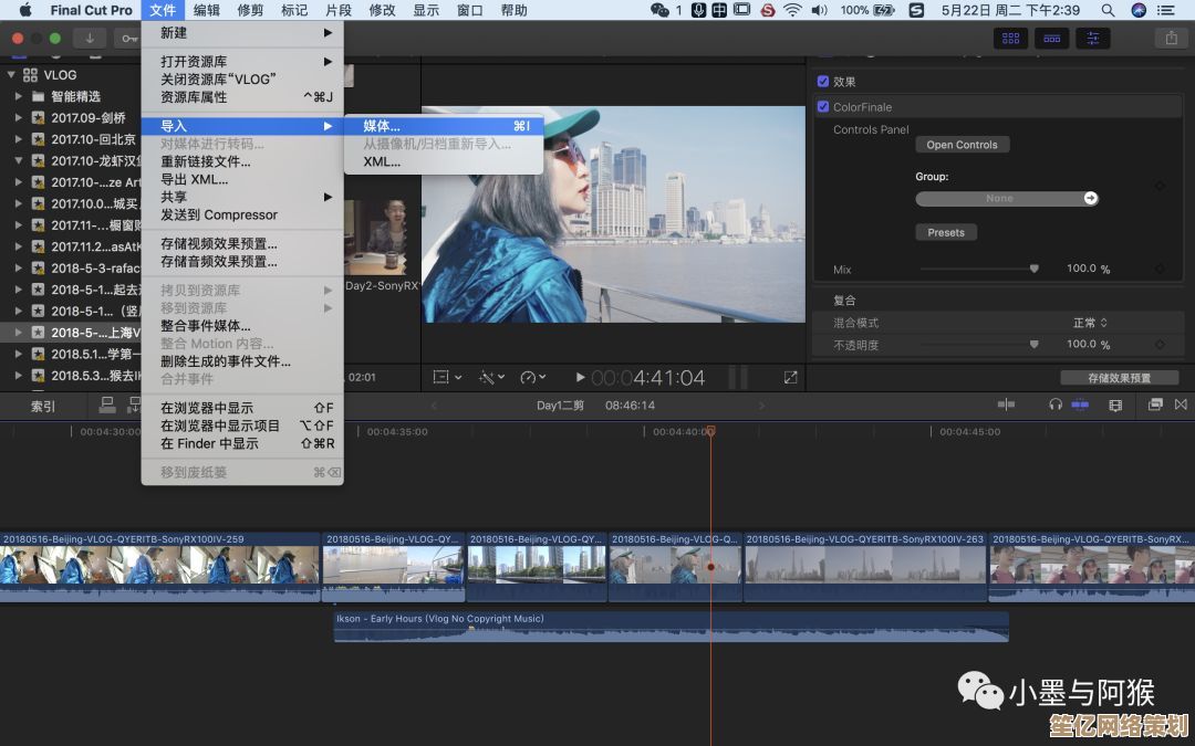 视频剪辑高手不愿透露的秘诀，掌握这些让你的作品瞬间升级！