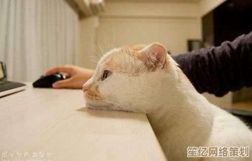 小鱼教您无线键盘使用技巧，轻松掌握无线操作新方式