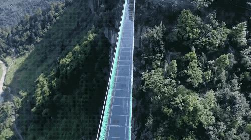 跨越天梯之巅：探索成功路径的智慧与坚持