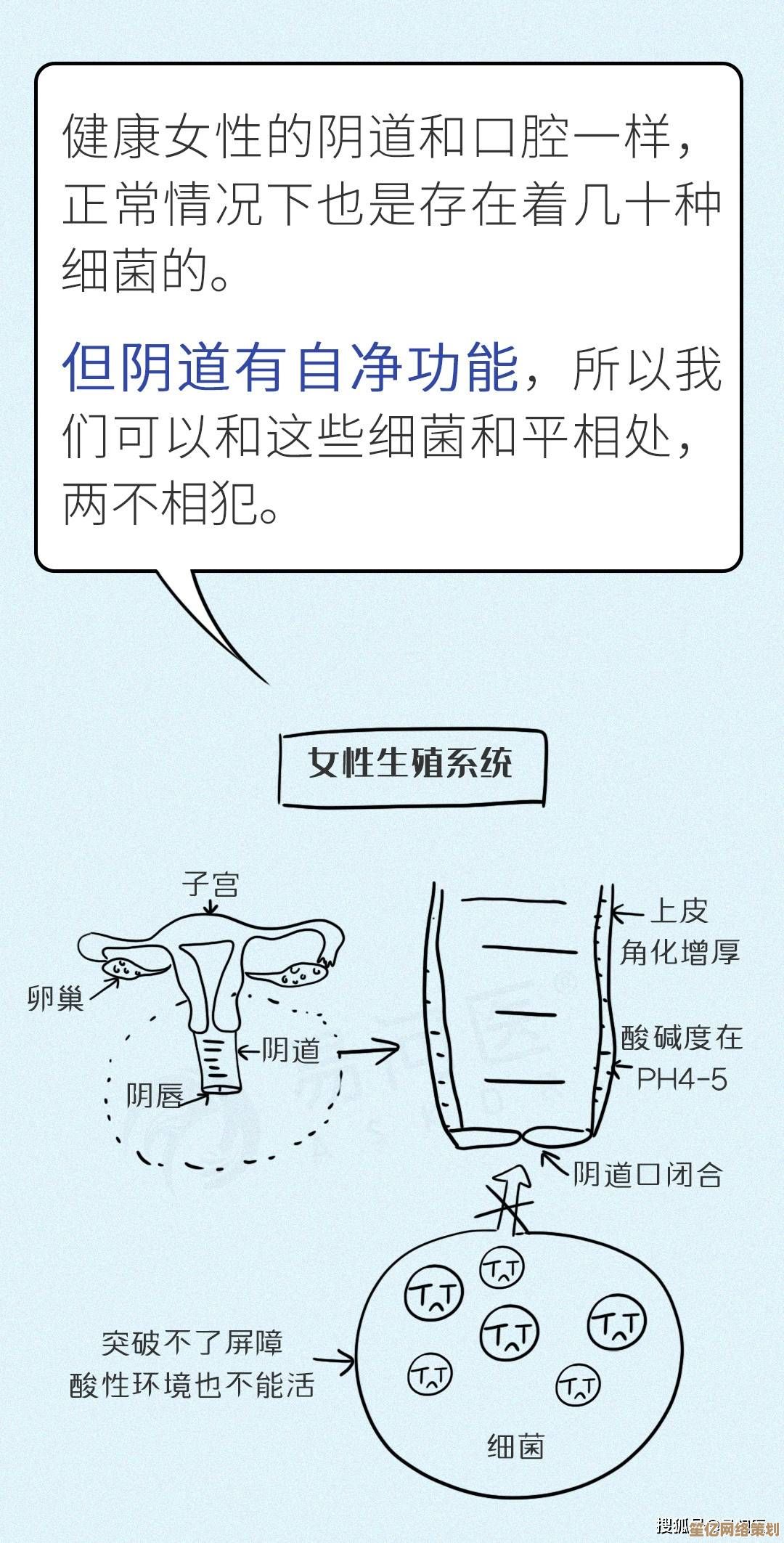 2025年玩家必看：13号病院痒痒挠高效入手方法解析