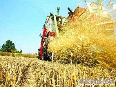 梦幻西游手游2025趣味玩法对比：亲手耕种VS巧偷资源，谁更胜一筹？