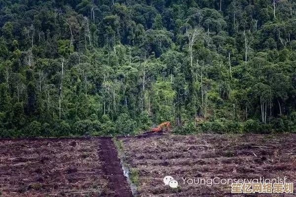 PEAK雨林生态保护任务2025：可持续探索与稀有资源获取教程