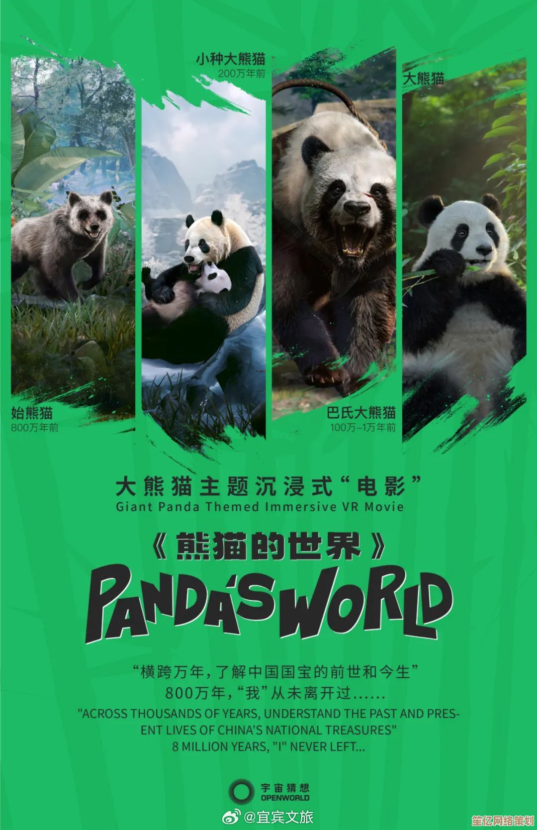 深入2025熊猫游戏世界，破解隐秘真相的详细攻略全解析
