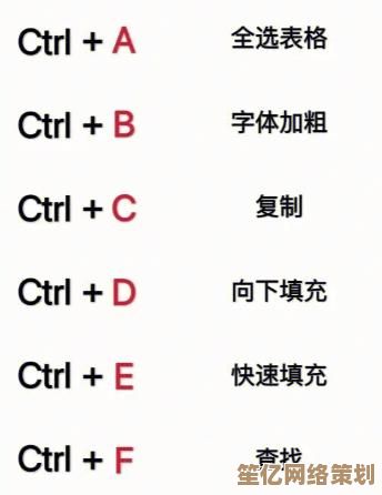 电脑全选快捷键使用指南，小鱼详细教学一学就会