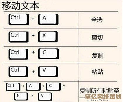电脑全选快捷键使用指南，小鱼详细教学一学就会
