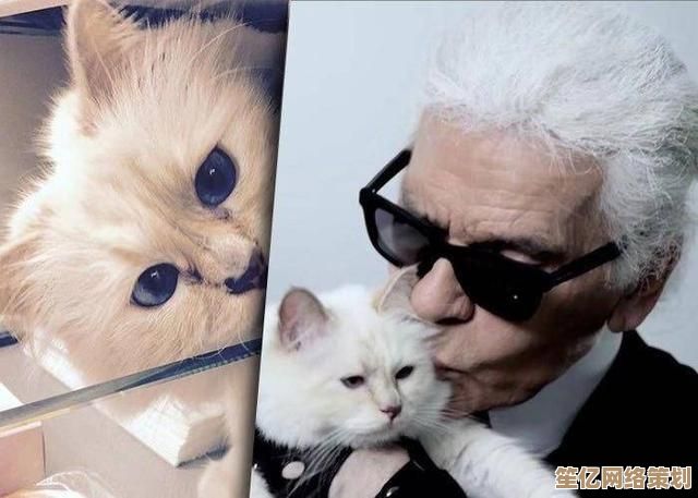 猫咪女仆手游2025年度盘点，全新虚拟陪伴玩法抢先体验