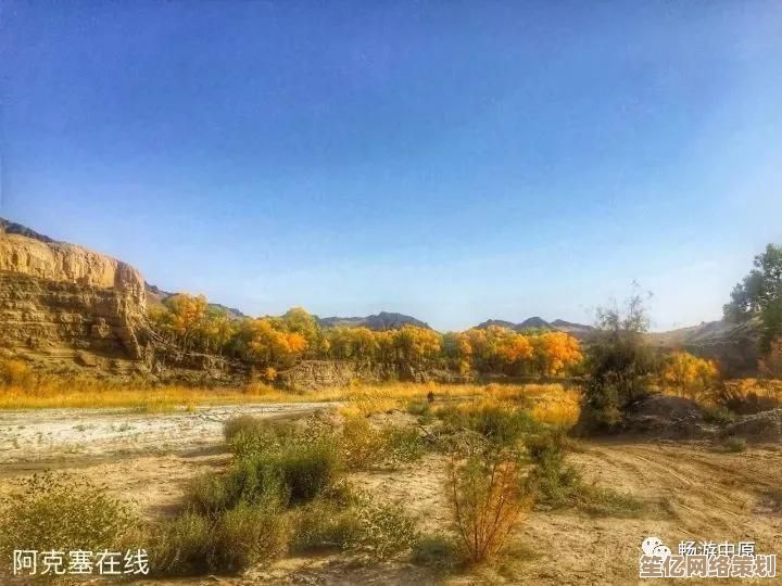《地下城堡4：沙丘之月》开放世界沙盒冒险，AI动态事件与全息生态沙暴系统