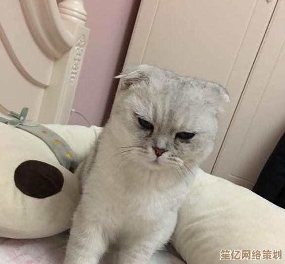 电脑开不了机别慌张，小鱼教您一步步排查问题根源