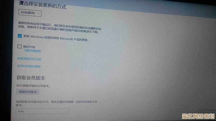 Win11内测计划申请指南：一步步教你成为测试成员