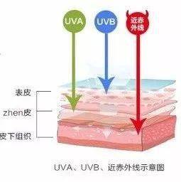 UV防护知识：守护肌肤健康美丽的必备指南