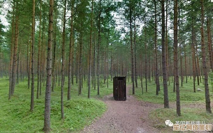 谷歌地图街景功能使用指南：高清视角探索技巧分享