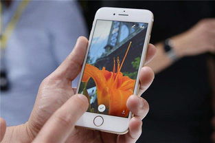 iPhone大幅降价引发关注，详细报价现已正式公布！