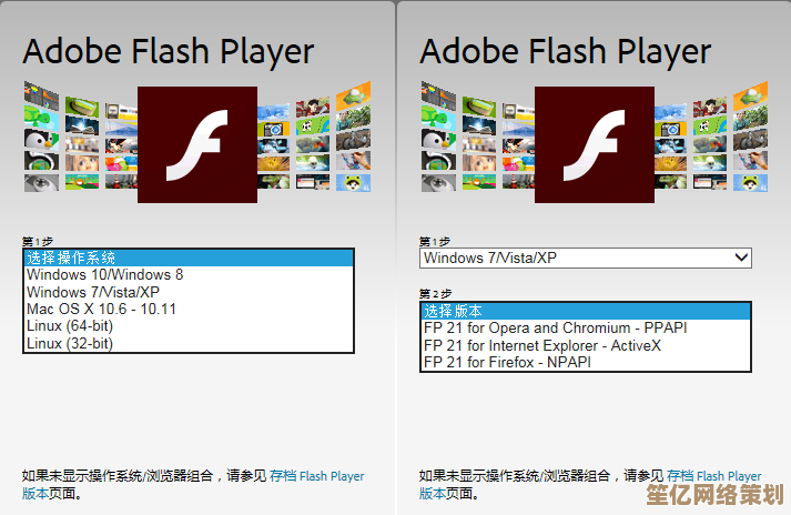 详解Windows 11环境下Flash插件的开启步骤与技巧