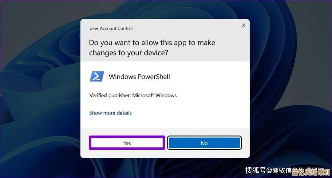 如何修复Win11安装过程中出现的2503错误码：实用技巧分享