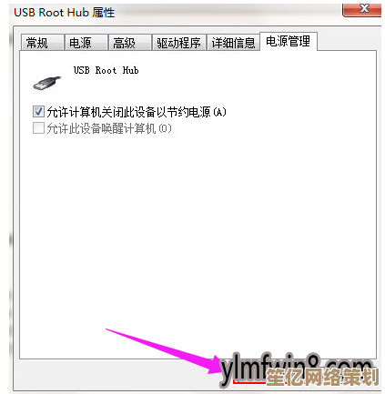 USB接口无反应怎么办？详细步骤教你轻松解决故障
