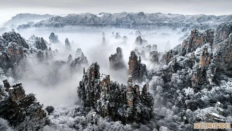 探索相机摄影天梯图：助你轻松掌握专业摄影，记录世间美好瞬间