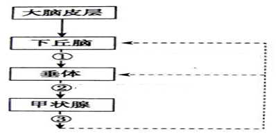 2025年生态种植突破：山海慈葱游戏内制作全流程解析